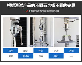 攜手并進(jìn)，共創(chuàng)未來 濟(jì)南與溫州拉力機(jī)廠家的技術(shù)力量與市場(chǎng)愿景