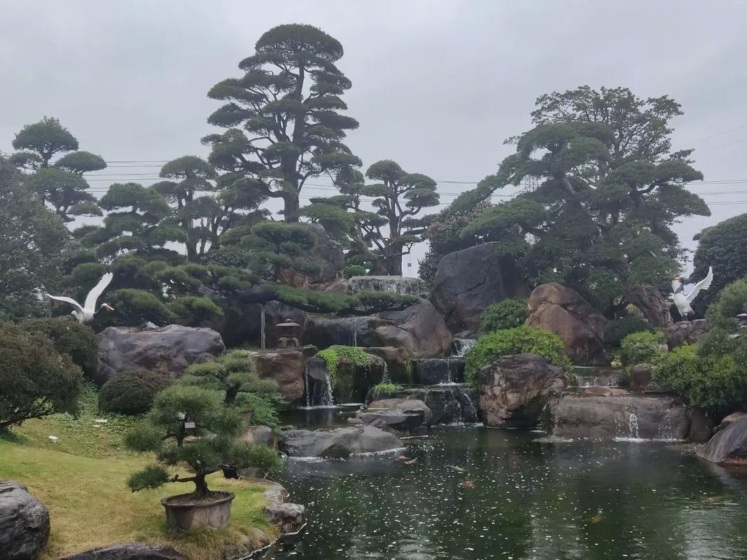 從石頭到風景 長沙塑石假山與水系噴泉如何重塑城市靈氣